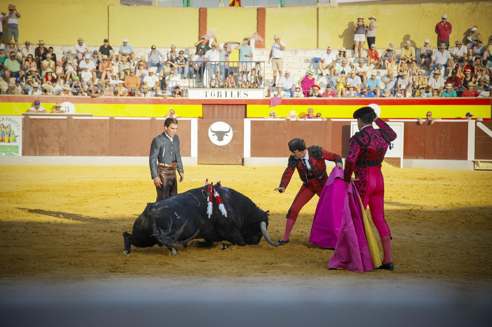 Corrida de toros Berja con un toro indultado, en imágenes