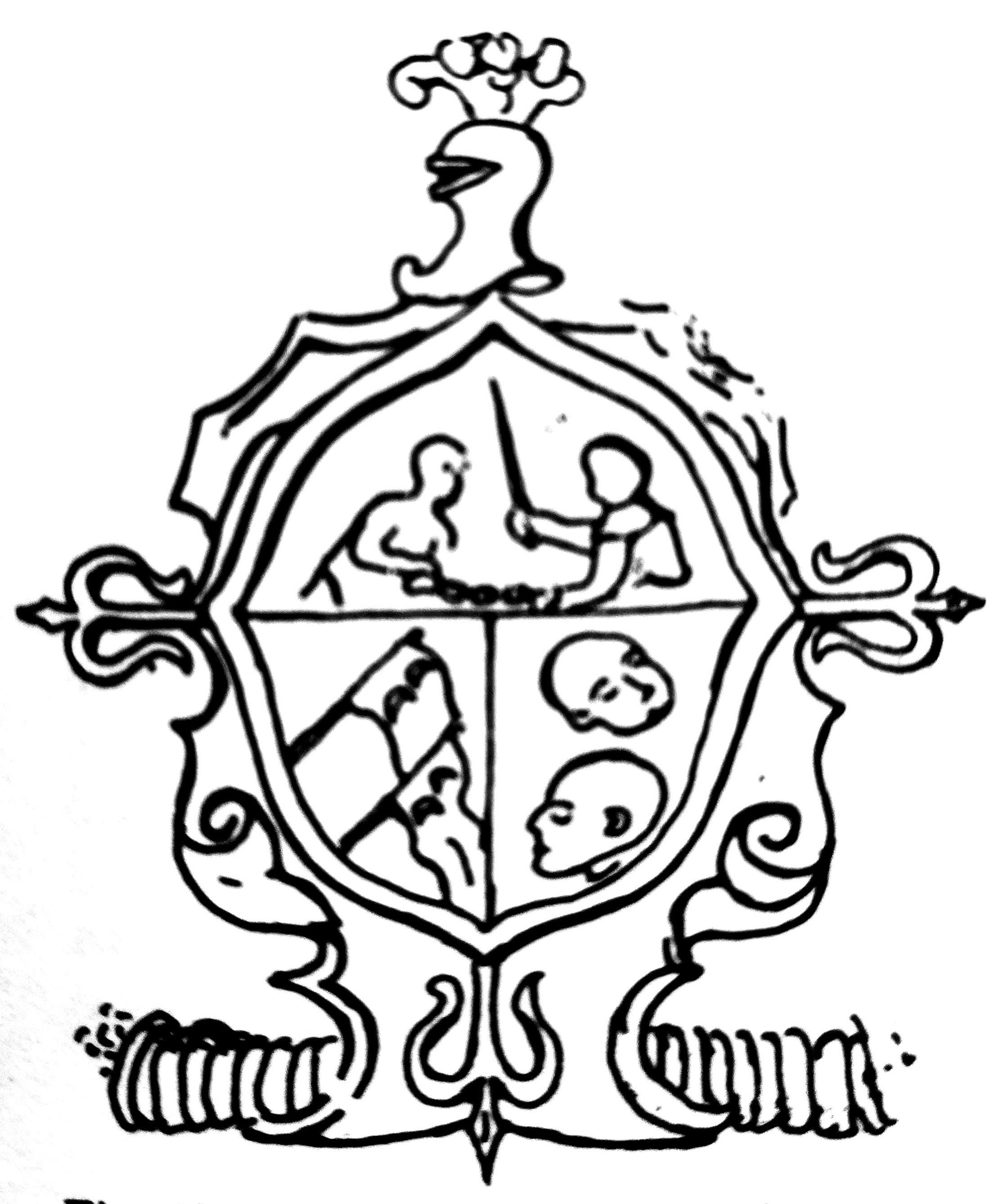 Ilustración de escudo