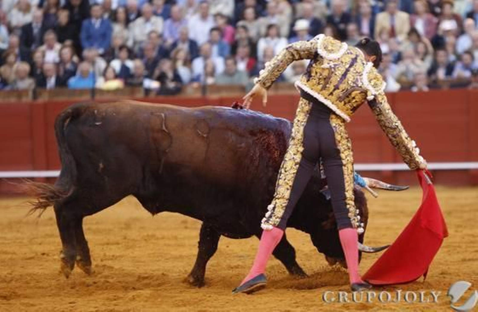 Manzanares cierra la corrida del Domingo de Resurrección.

Foto: Juan Carlos Muñoz