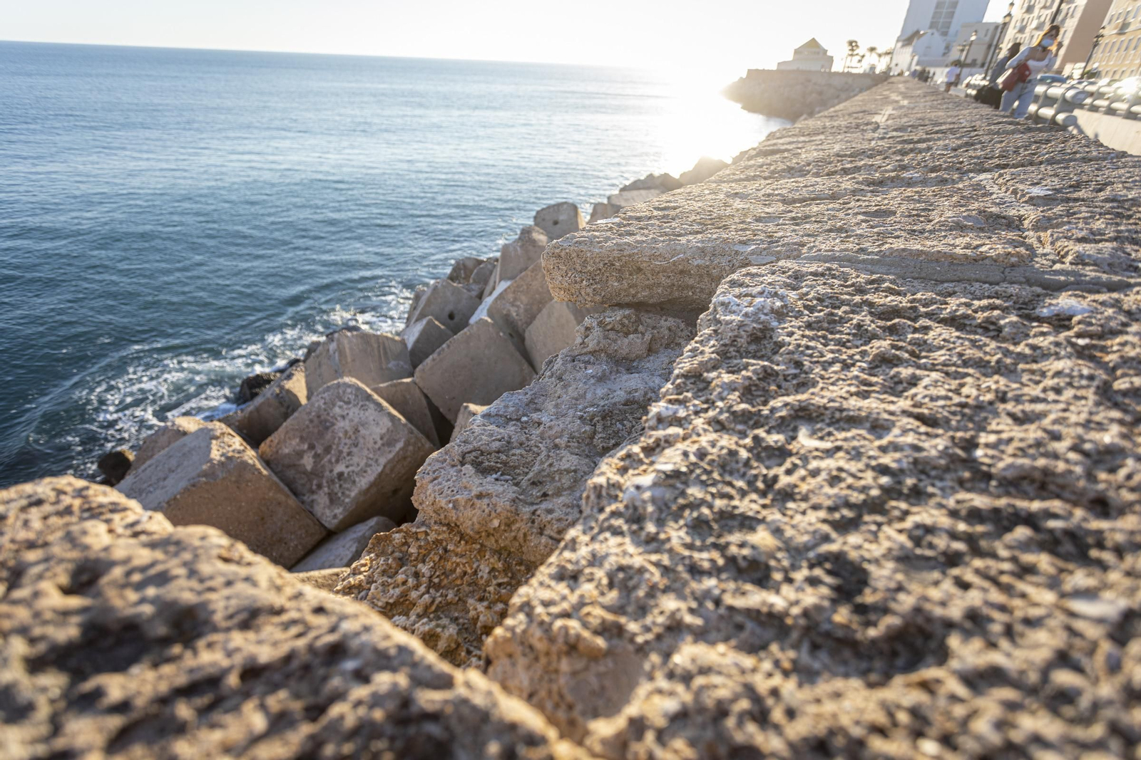 Imágenes del mal estado de la muralla del Campo del Sur