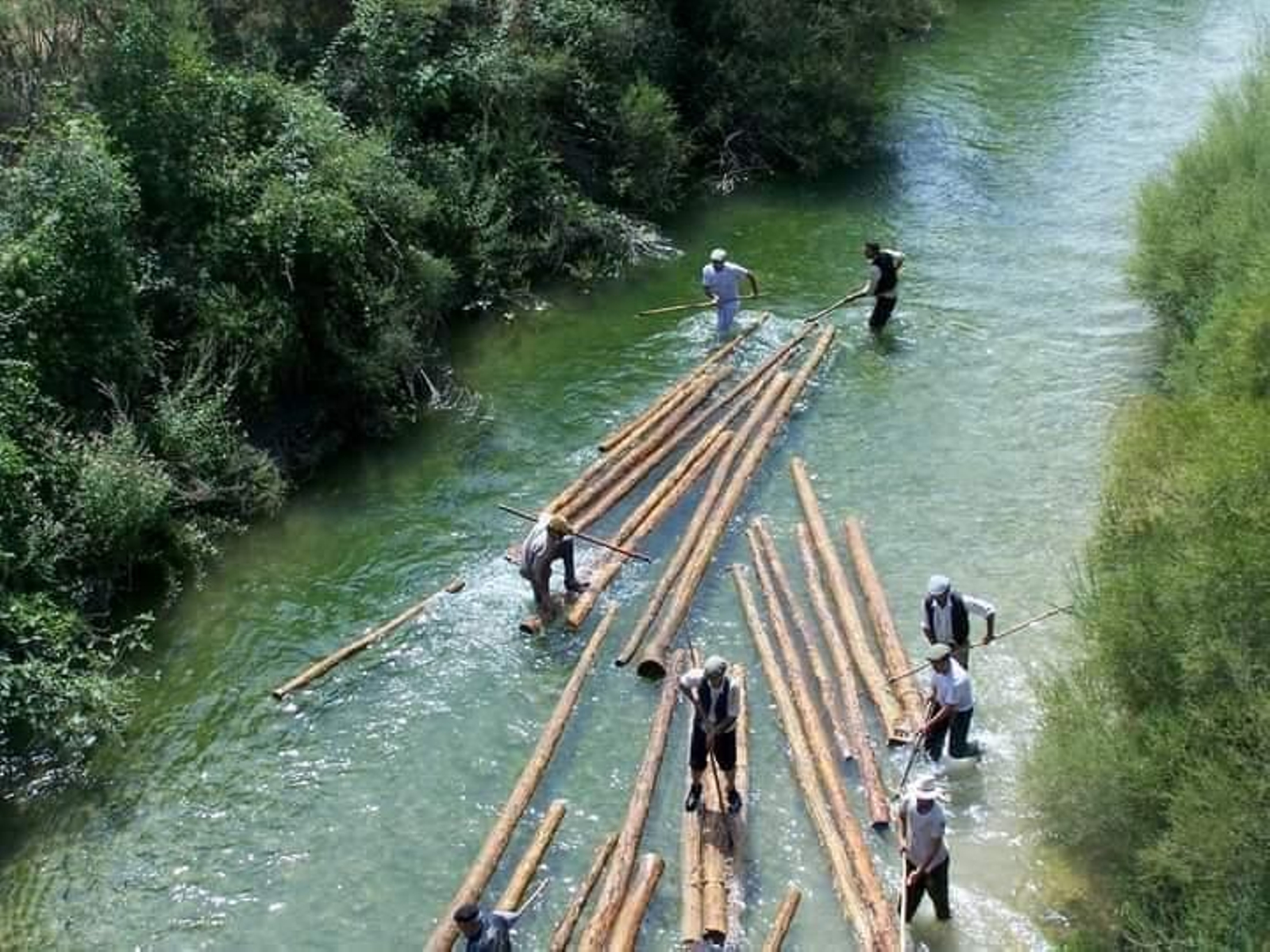 Así trabajaban los pineros de Segura.