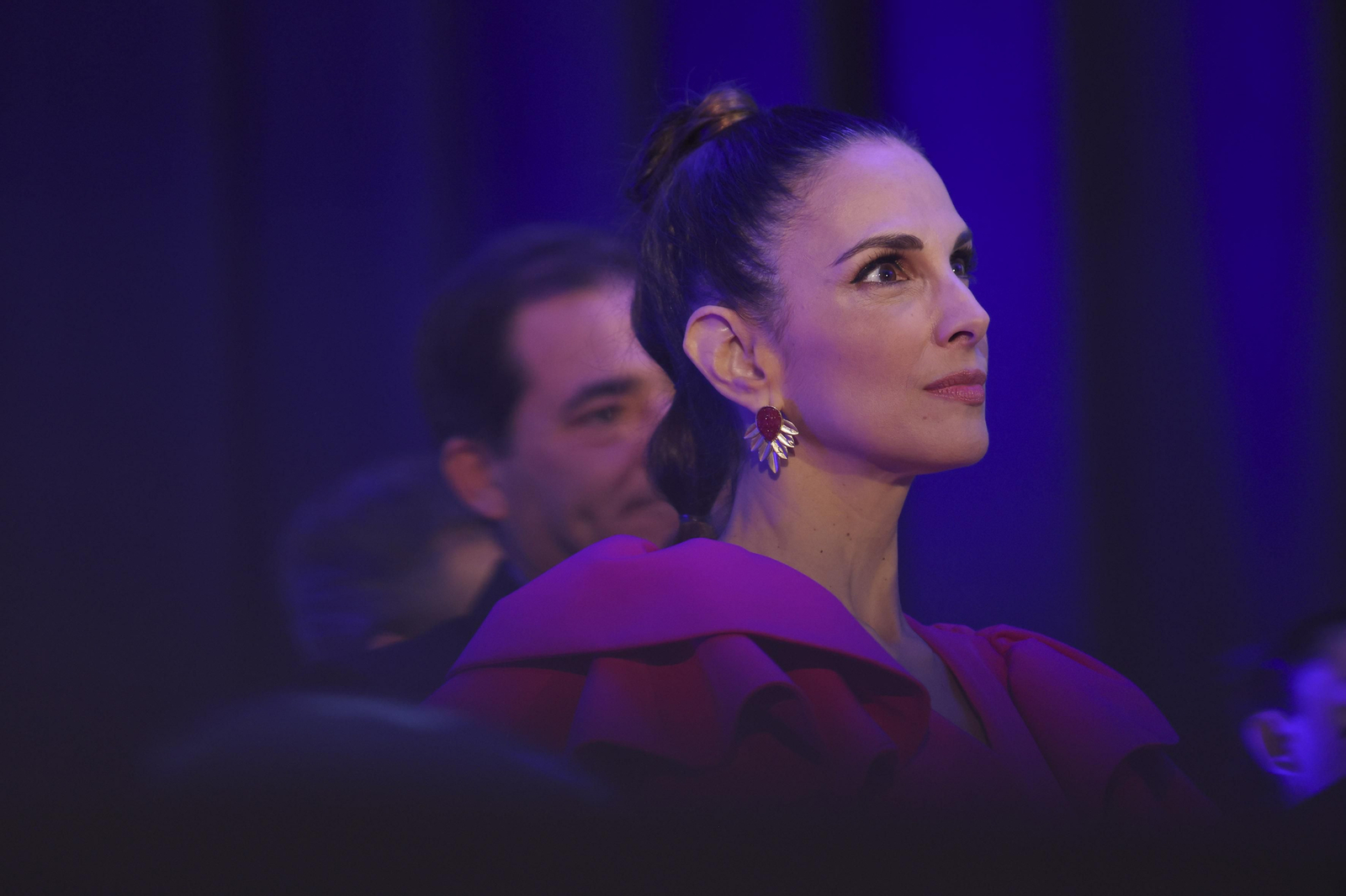 Las fotos de la entrega de las Banderas por el 28-F en Málaga