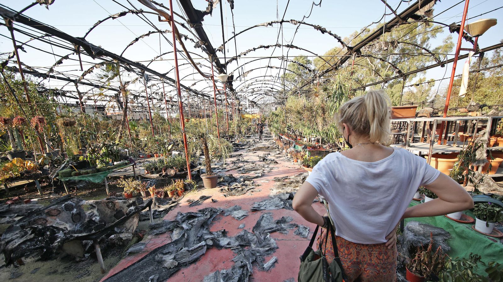 Imágenes de Viveros Olmedo en Jerez tras el incendio del pasado 13 de julio