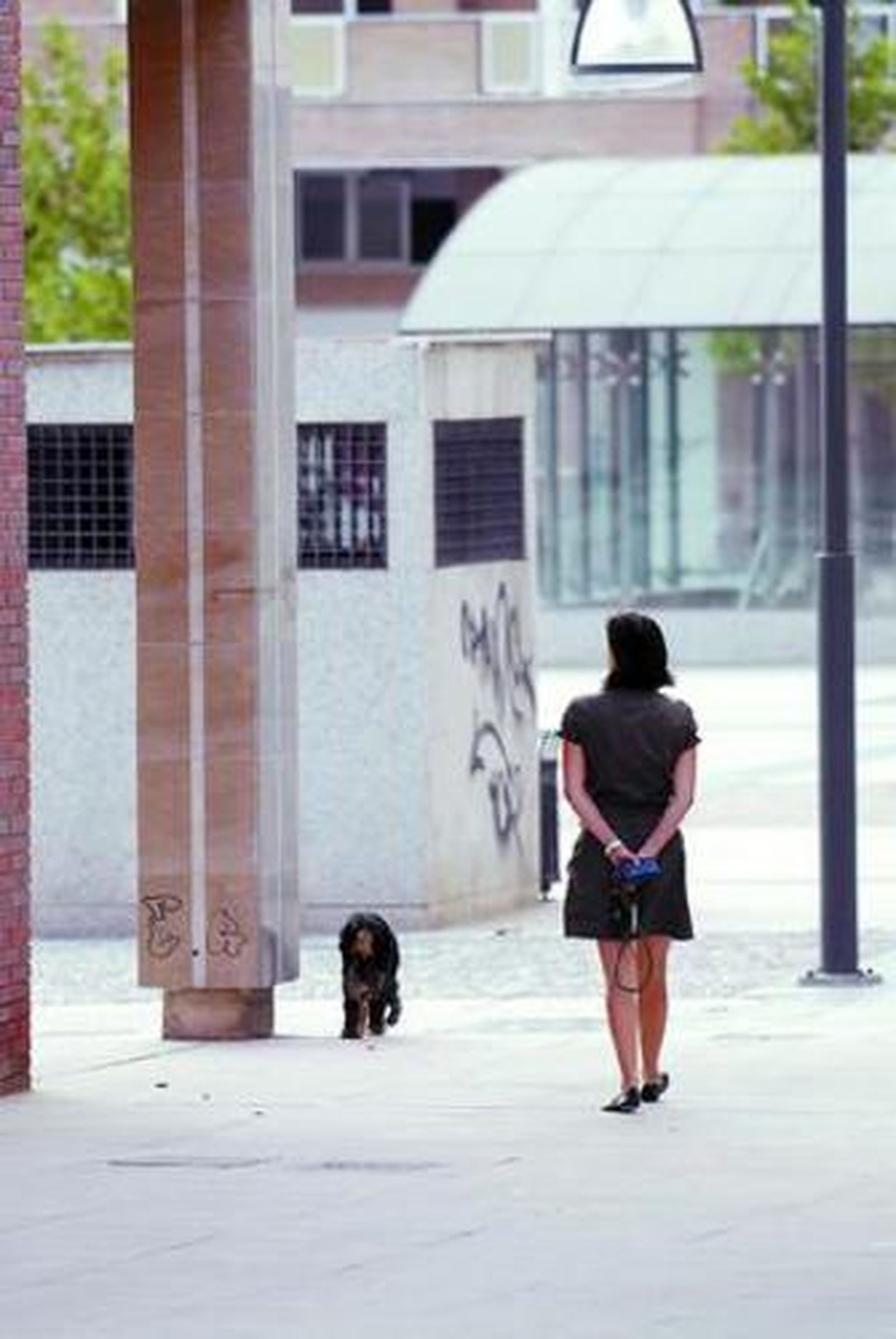 1. Tres de los integrantes de la empresa granadina. 2. Sacar a las mascotas es uno de los servicios que ofrecen los nuevos gestores. 3. Los interesados pueden consultar el abanico de posibilidades en la web. / FOTOS: J. OCHANDO