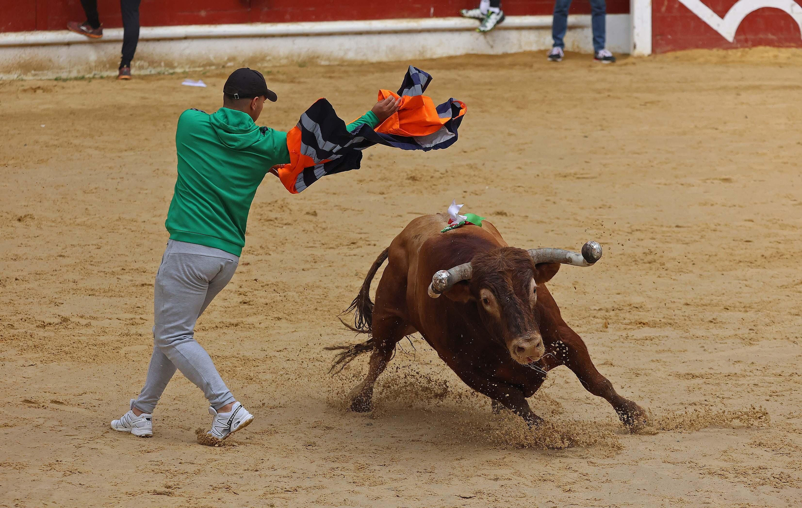 Las mejores fotos del Toro Embolao de Los Barrios 2024