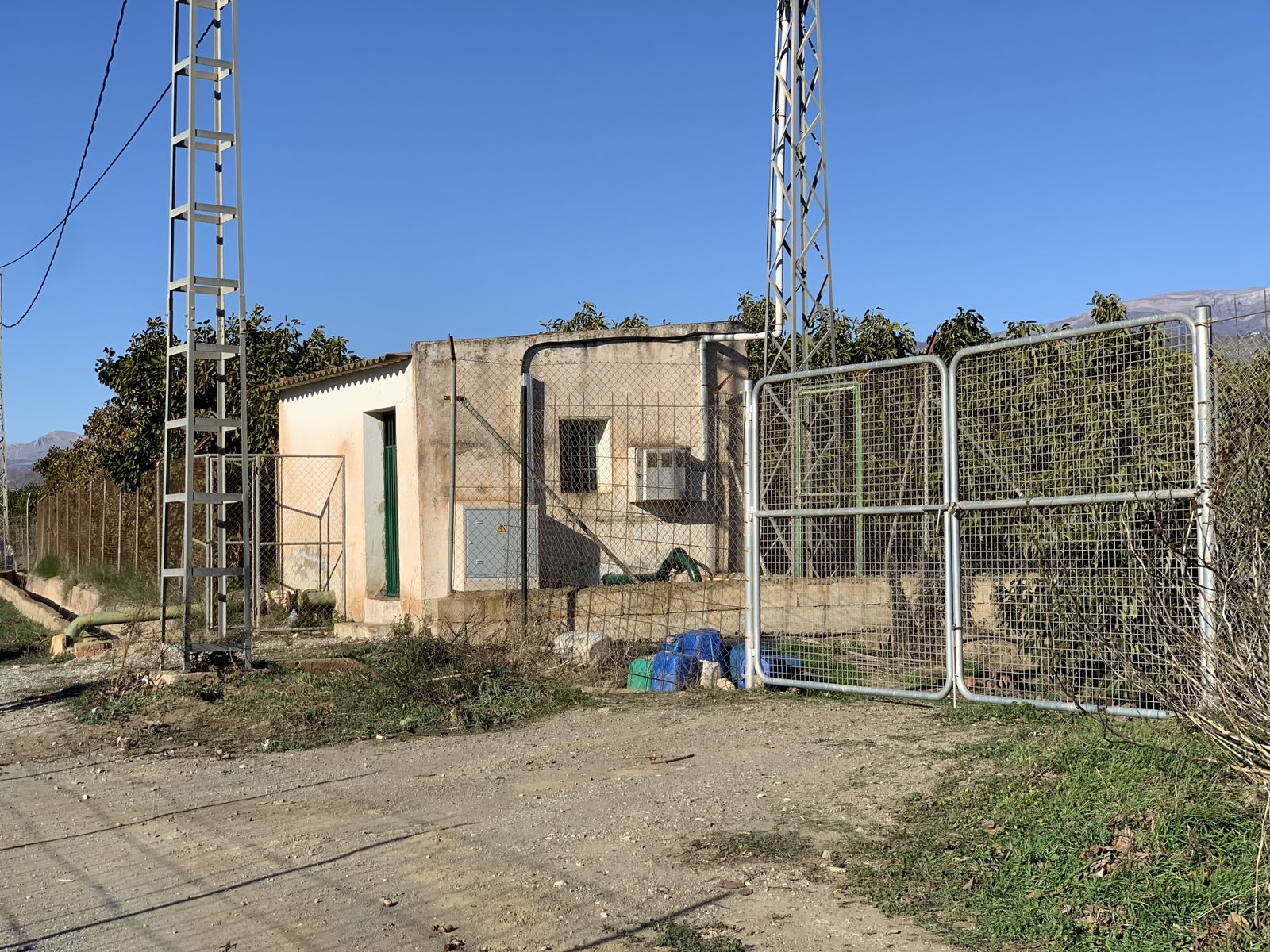 Finca de aguacates donde se han producido los hechos.