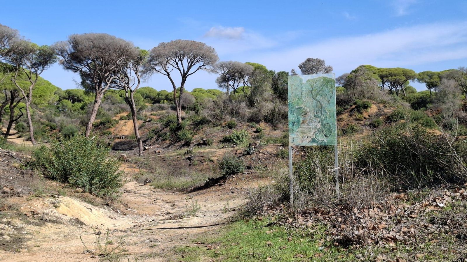 Parque de Las Canteras de Puerto Real, tras el incendio