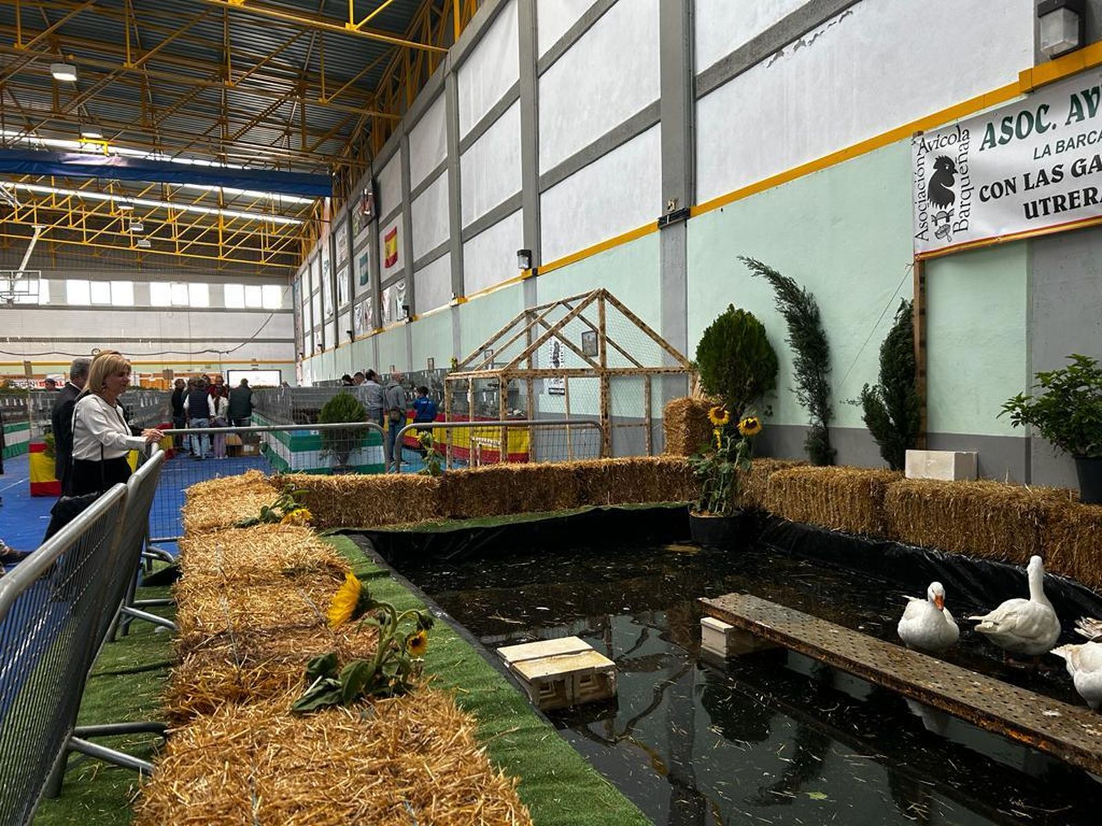 Imagen de Avibarca 2023,  la Exposición de Gallinas Autóctonas y Otras Aves