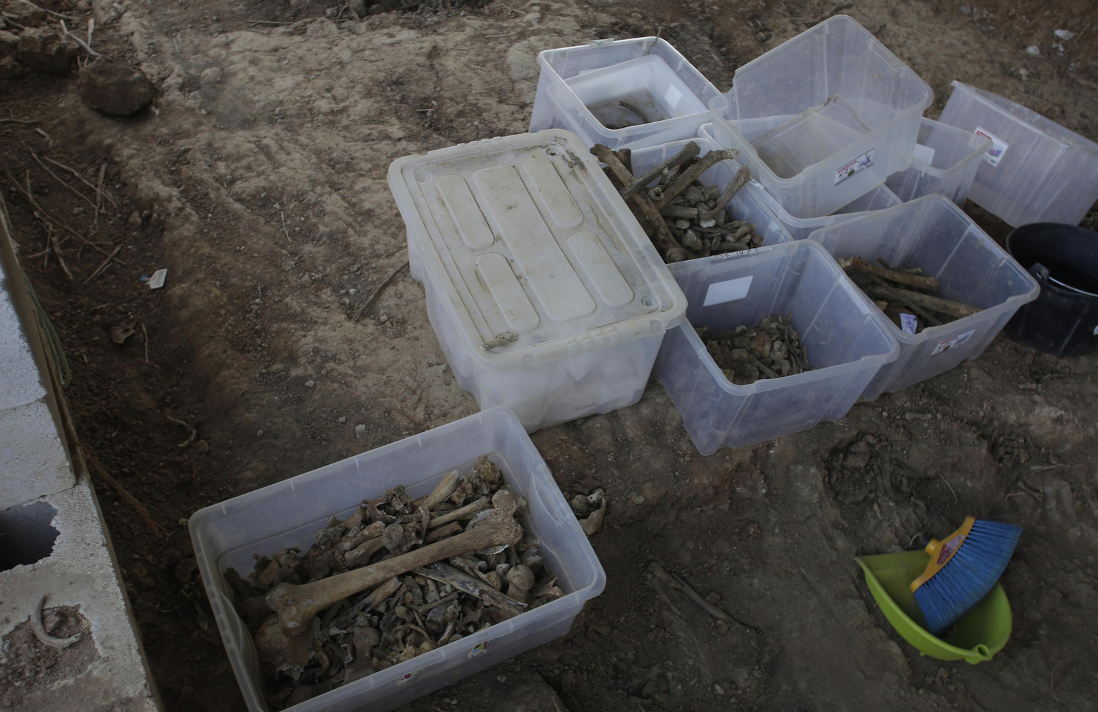 Avance de los trabajos en la fosa común de Pico Reja