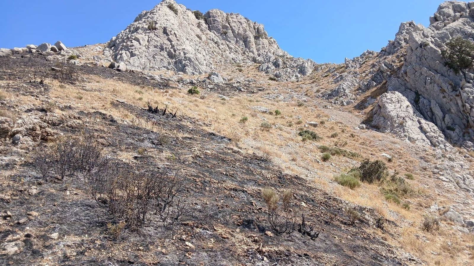 Estabilizado incendio de Alcaucín