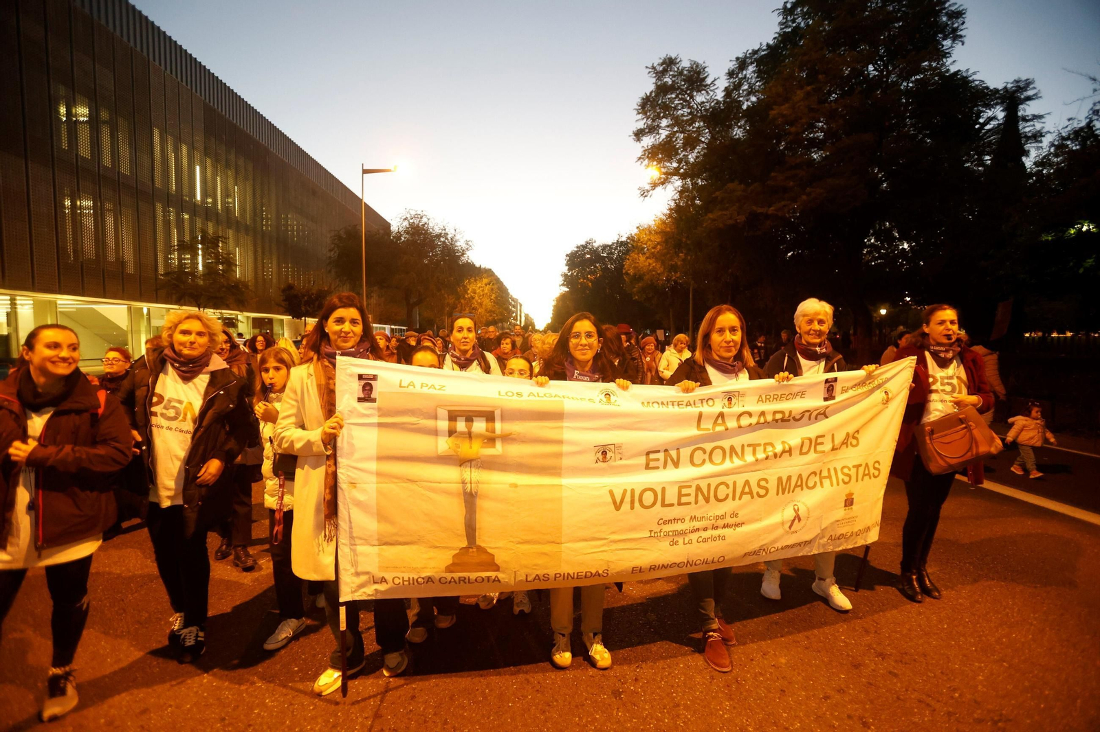 La manifestación del 25N en Córdoba