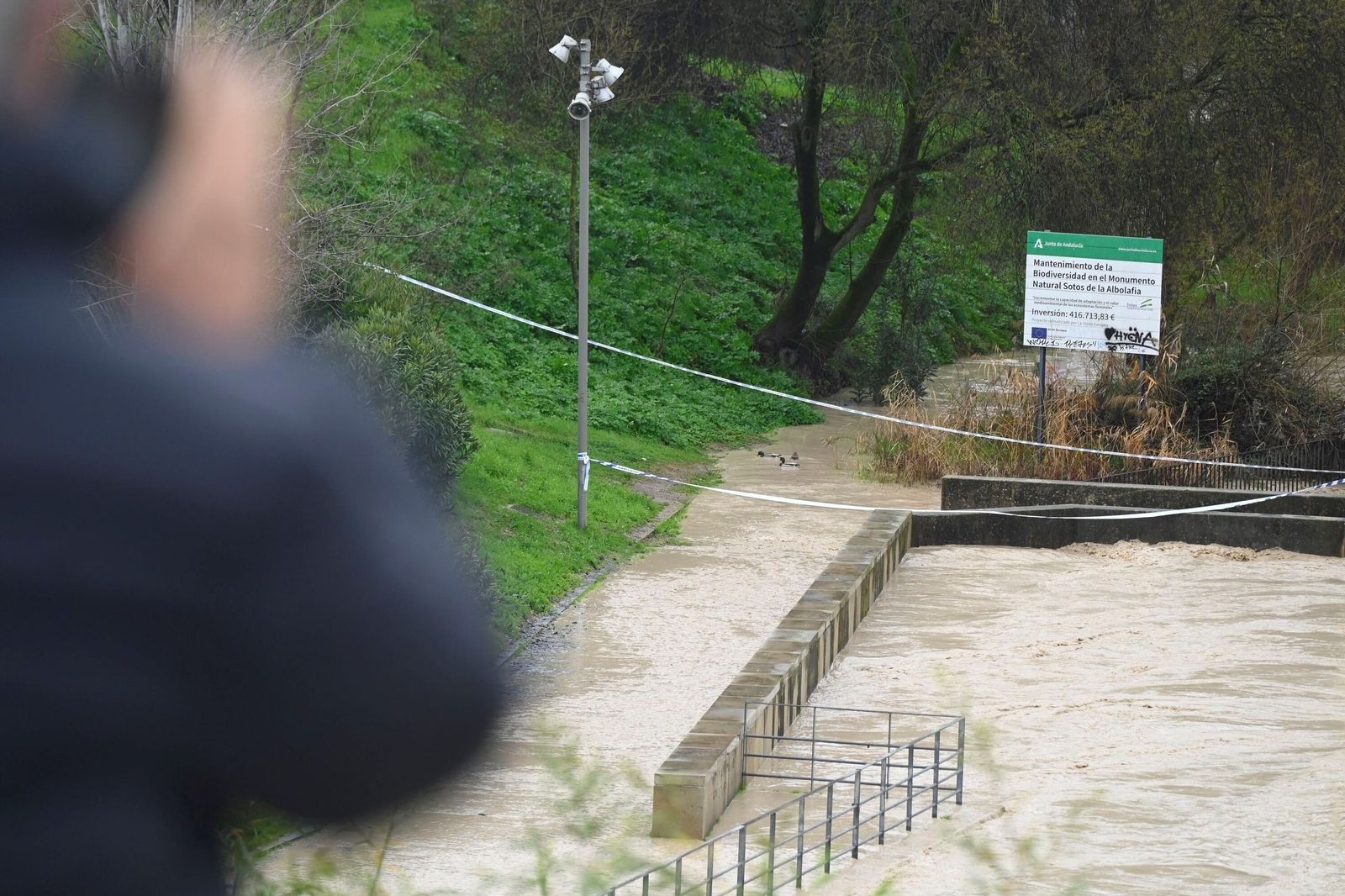 El cauce del río Guadalquivir a su paso por Córdoba tras la borrasca Kristin