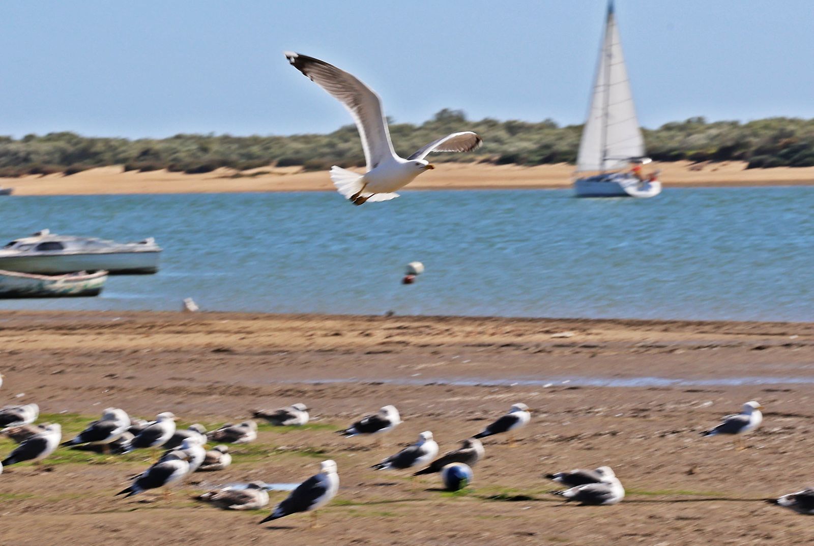 Las imágenes más destacadas del miércoles 28 de febrero en Huelva