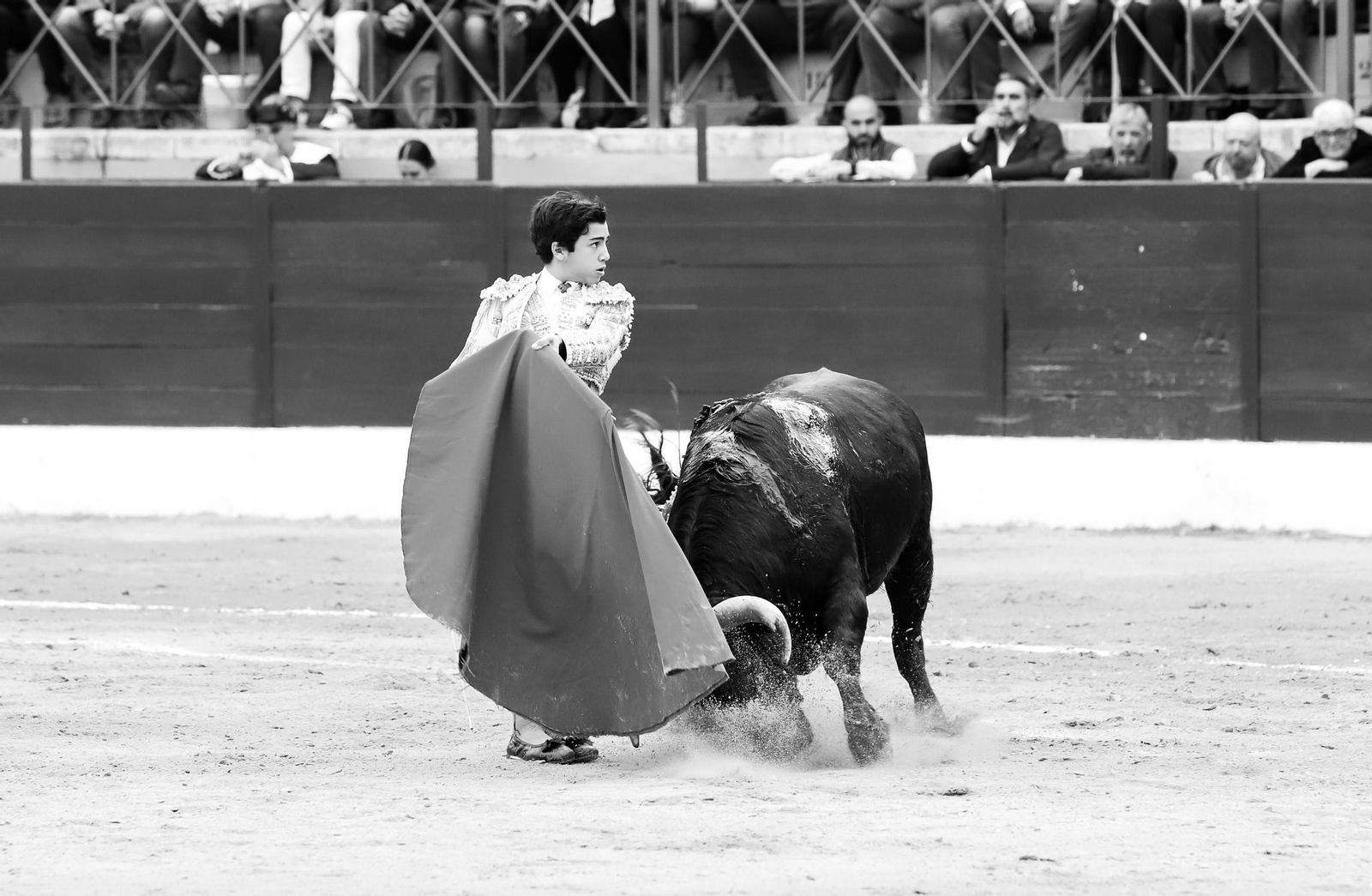 Imágenes de la novillada previa a la Semana Santa en la plaza de toros de La Línea