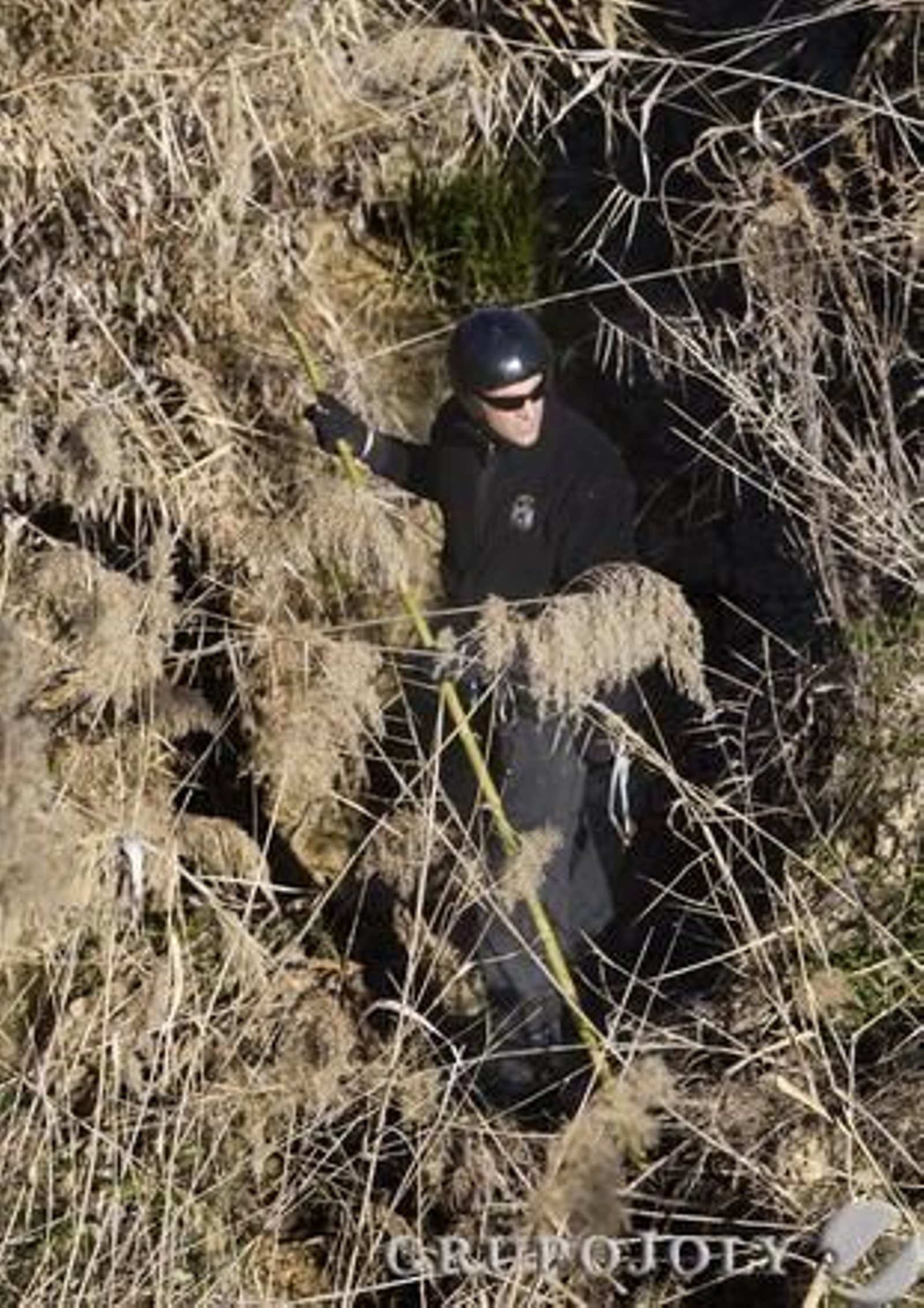 Foto: José Manuel Vidal (EFE)