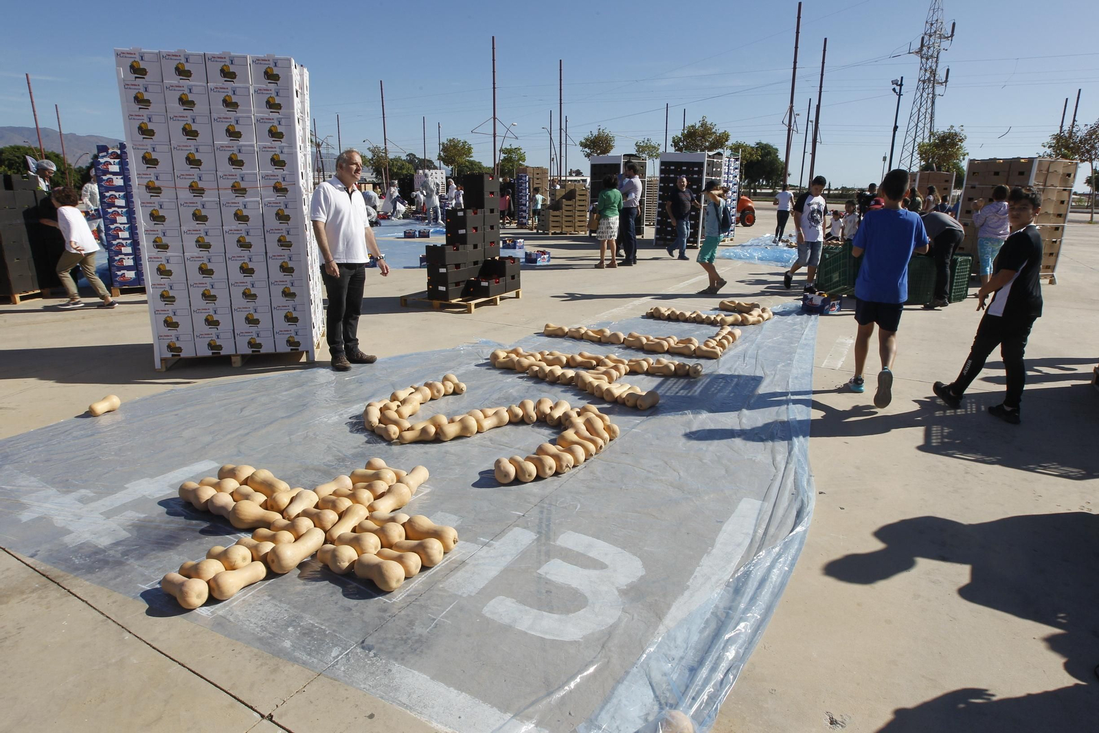 Fotogalería Récord Guinness Corazón Hortalizas Almería
