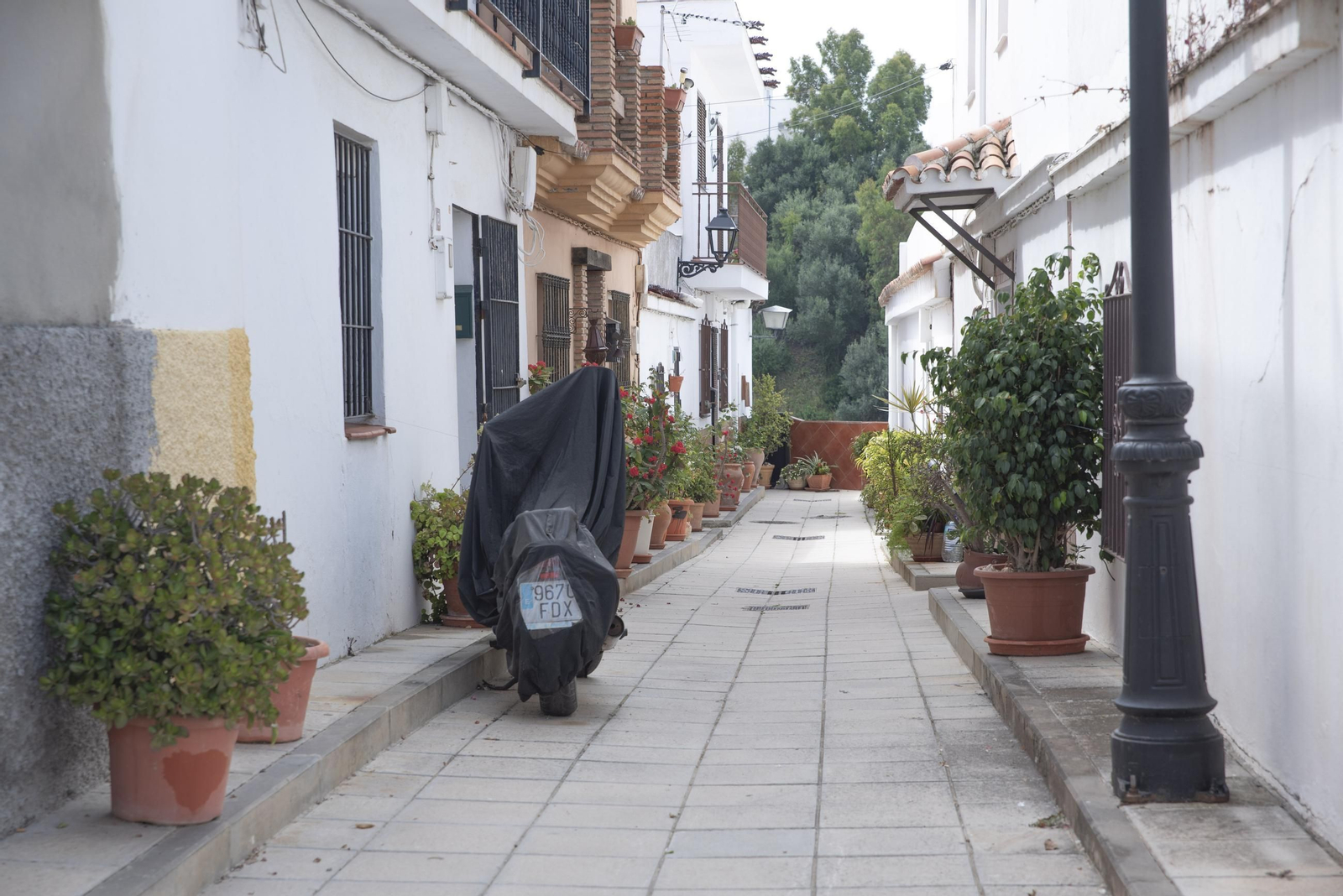 Fotos de una mañana de primavera en el Valle del Guadiaro
