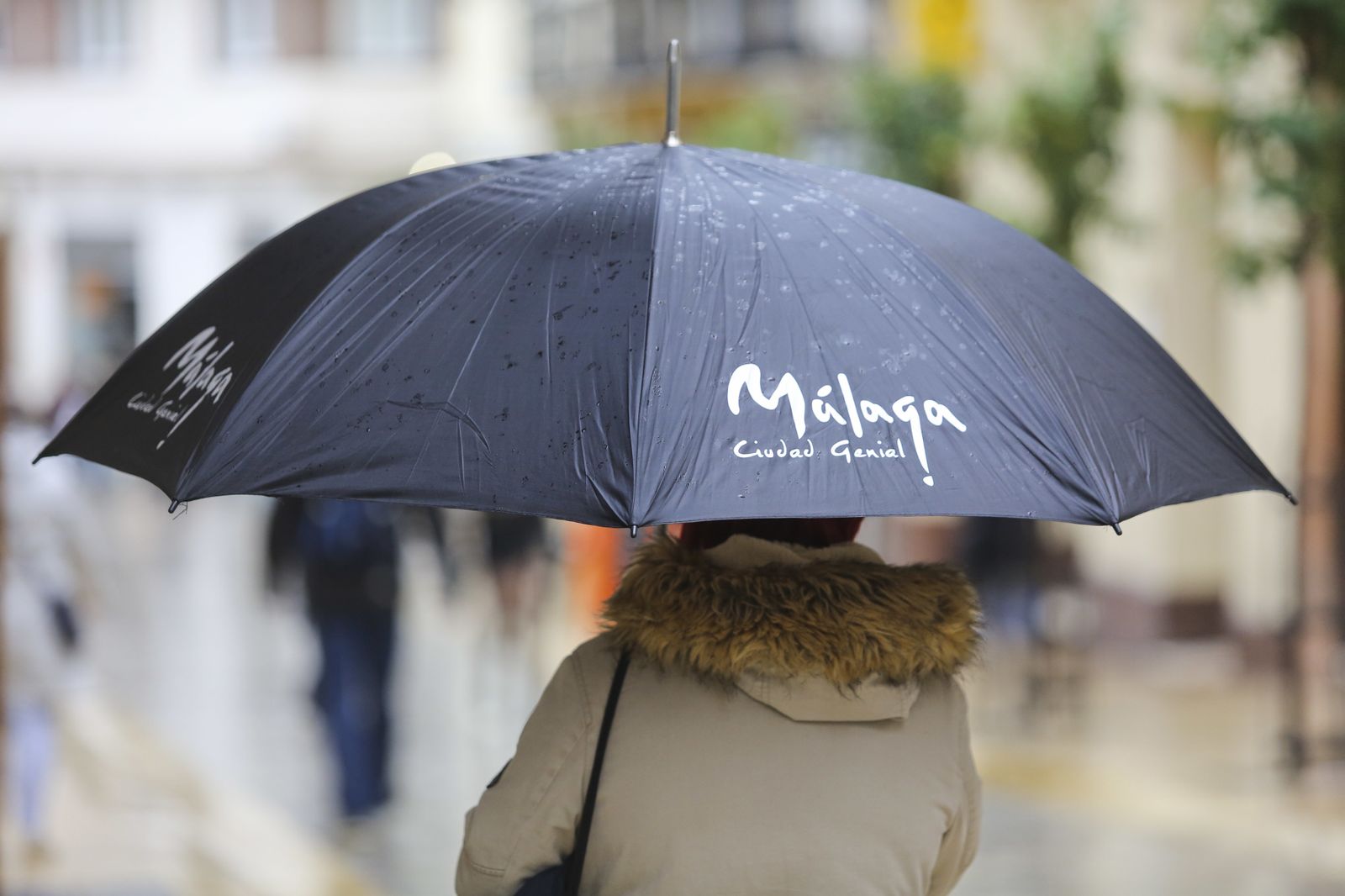 Una mujer pasea bajo la lluvia por el centro de Málaga
