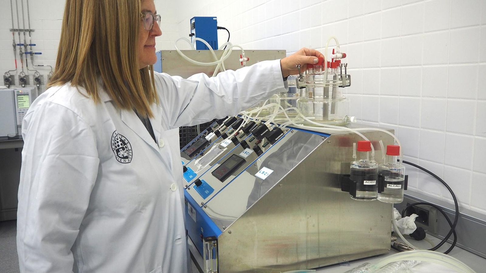 Investigadora de la UJA, Lourdes Martínez.