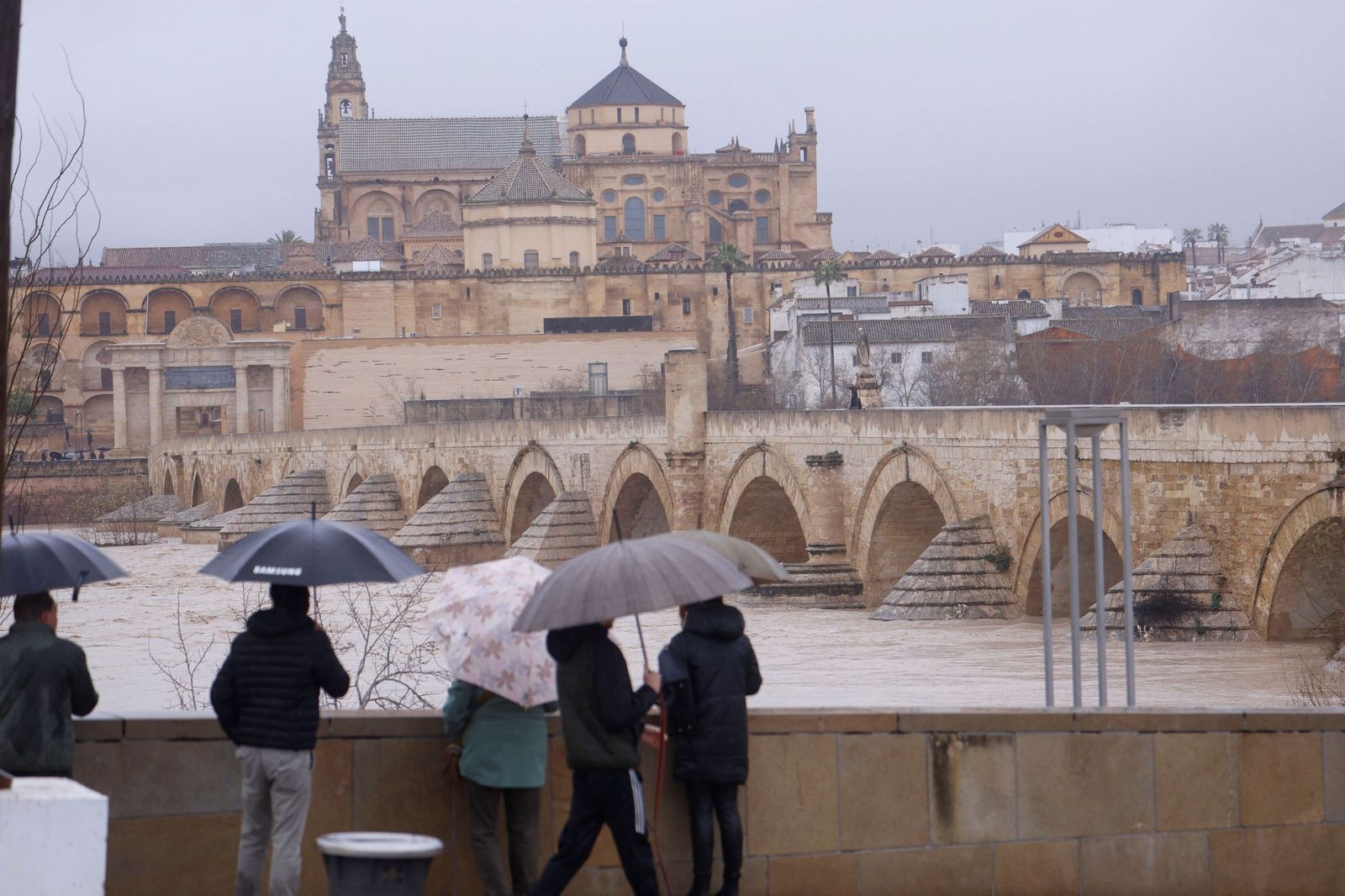Así se muestra el río Guadalquivir a su paso por Córdoba a la espera de otra crecida