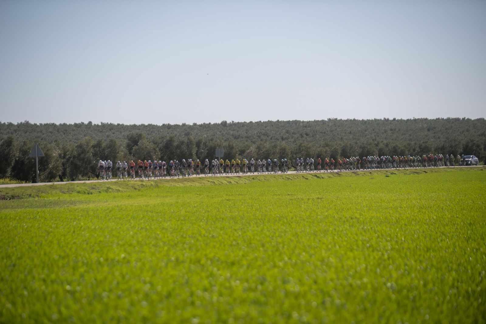 Las mejores fotos de la etapa final de la Ruta del Sol Vuelta a Andalucía con desenlace en Lucena