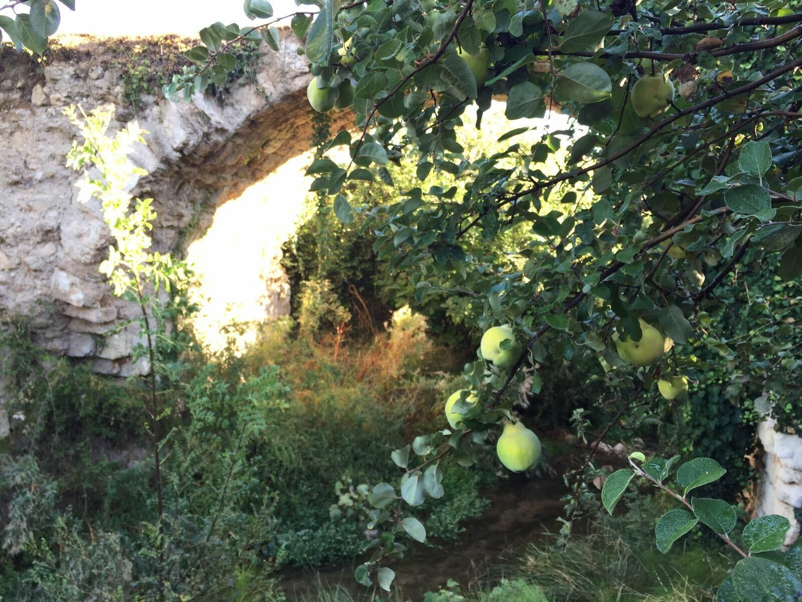 Puente califal de Carcabuey.