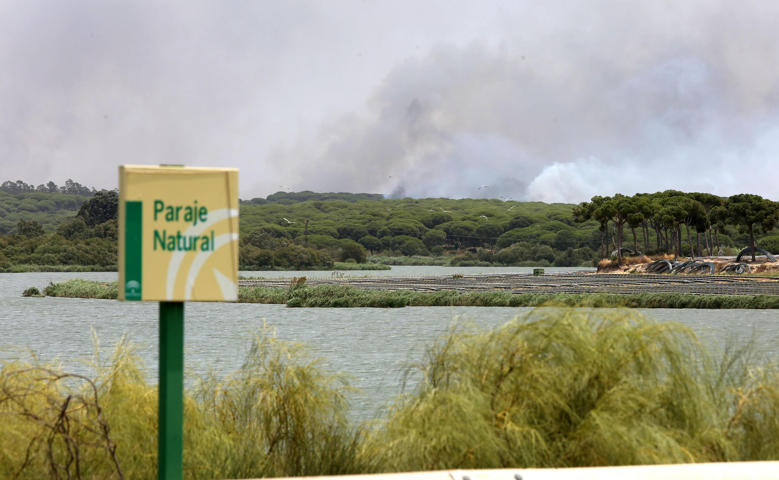 Las consecuencias del incendio en Mazagón
