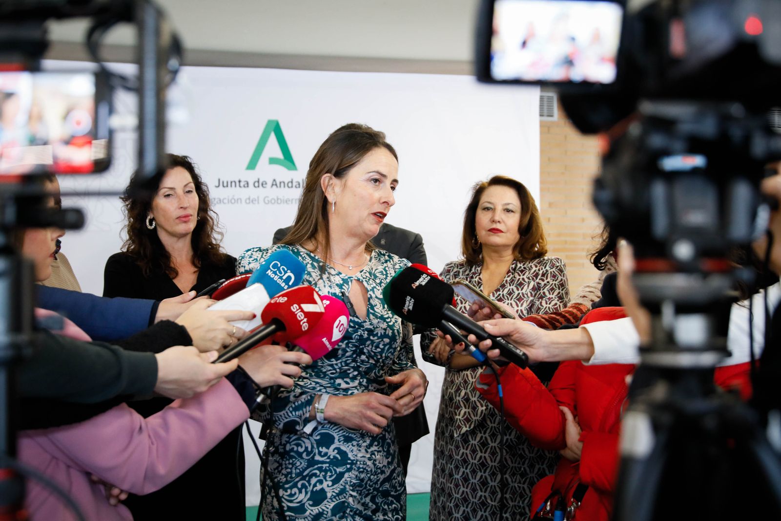 Imágenes de las entregas de las banderas de Andalucía