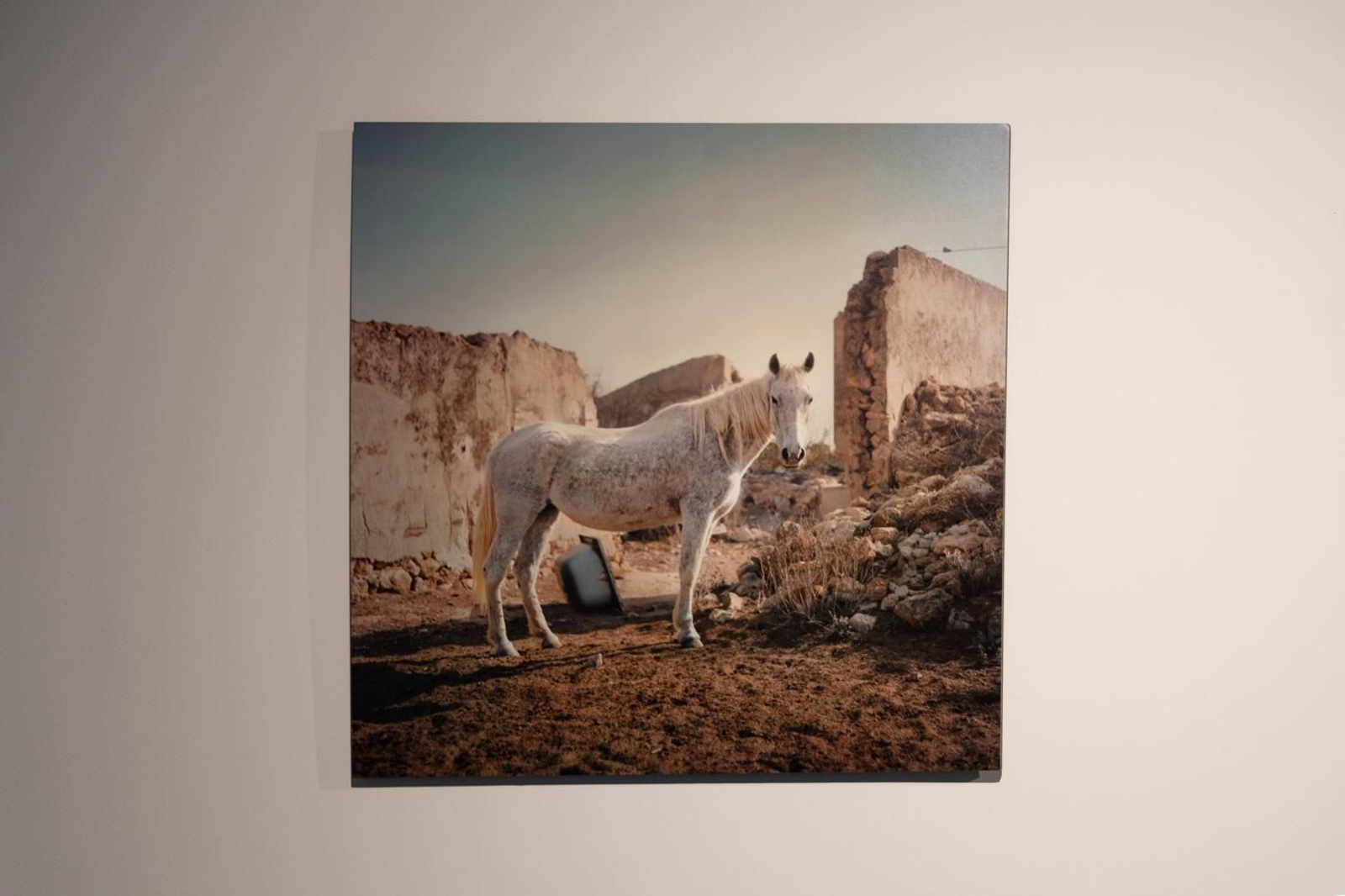 La fotografía emergente de Andalucía y Valencia se cita en esta exposición de Órbitas 2025