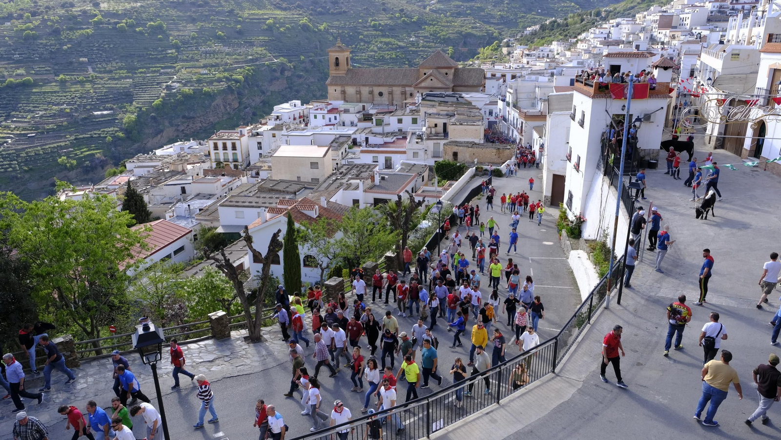 Los toros ensogados de Ohanes, en imágenes
