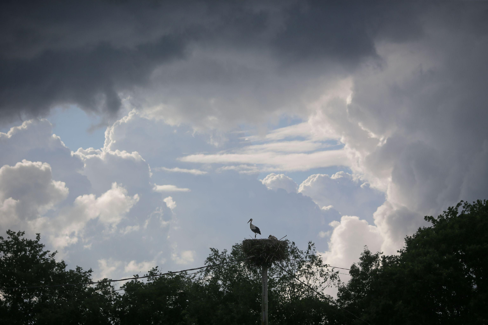 ¿Qué tiempo hará el 'puente' de mayo en Andalucía?