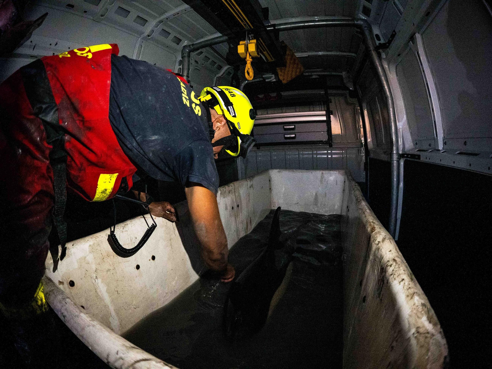 Así fue el rescate del delfín varado en San Fernando