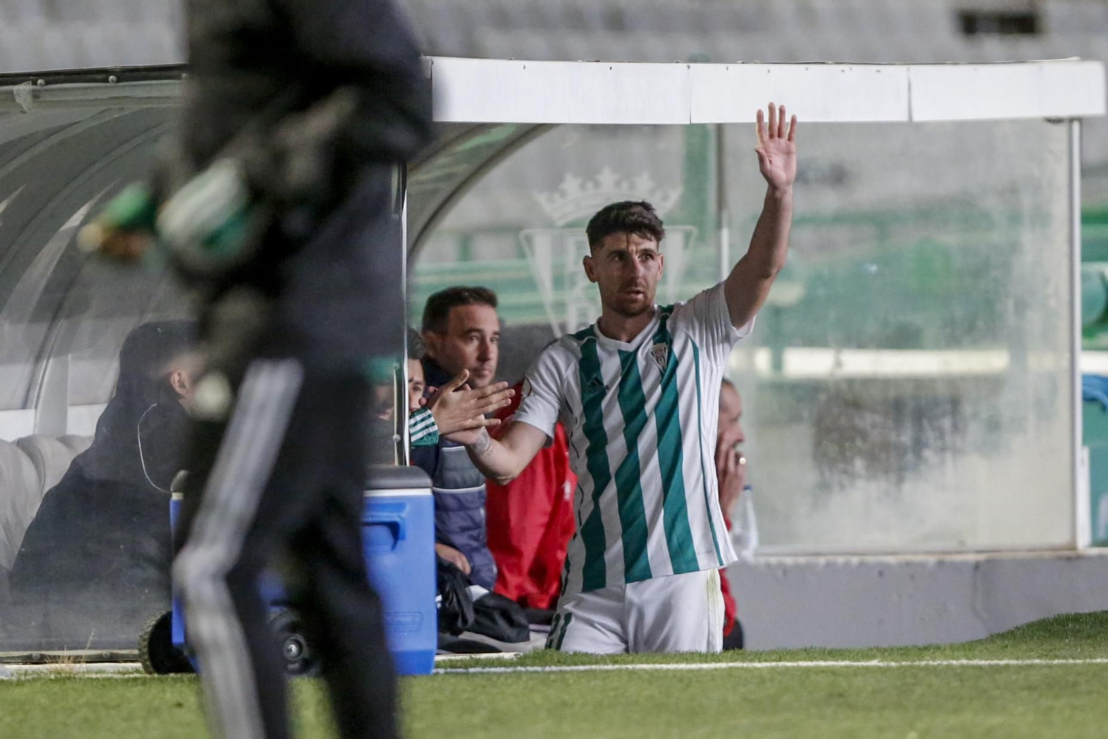 Las fotos del Córdoba CF - Villarrobledo