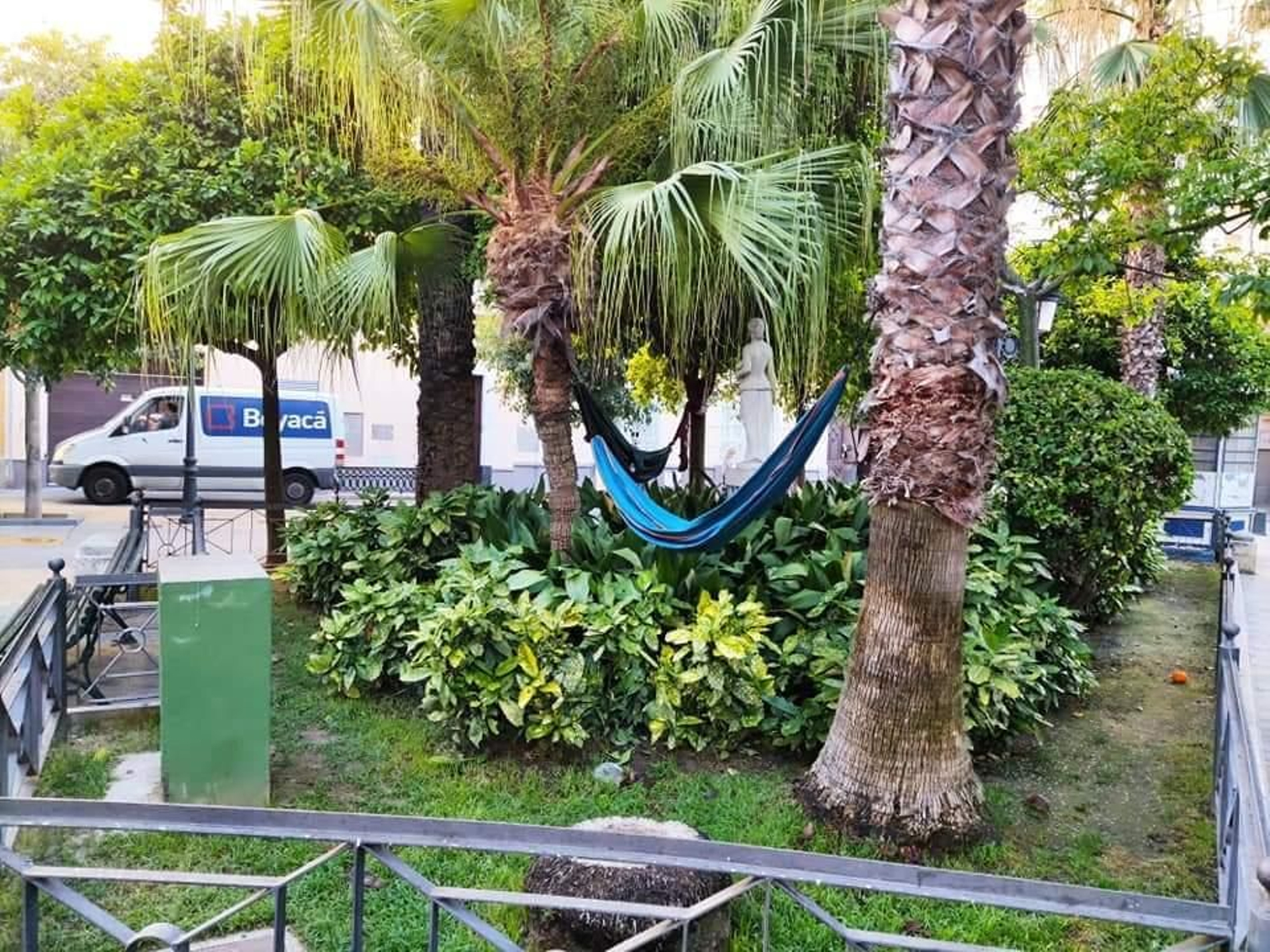 Hamacas entre árboles en uno de los jardines de la plaza de Candelaria.