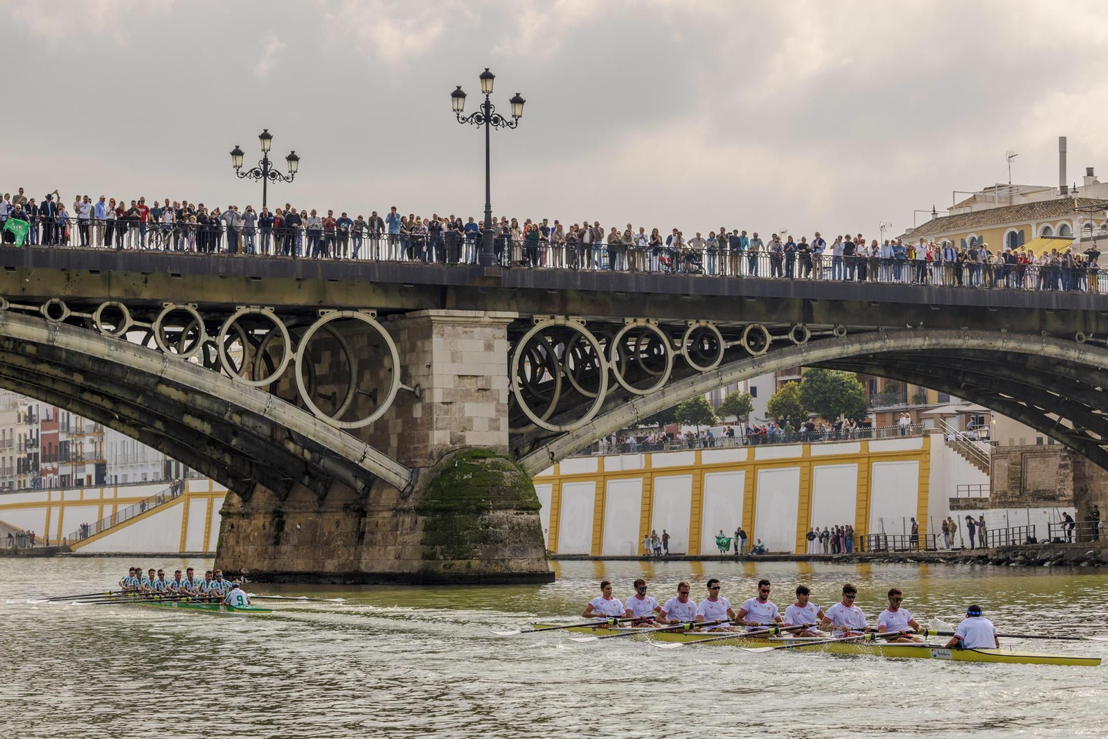 Las fotos de la regata Sevilla-Betis 2024: nuevo triunfo del Betis