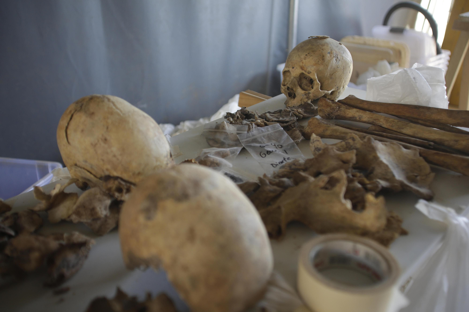 Avance de los trabajos en la fosa común de Pico Reja