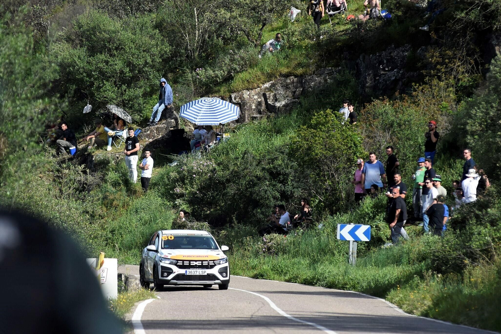 Rallye Sierra Morena 2024: Las mejores imágenes del 'shakedown'