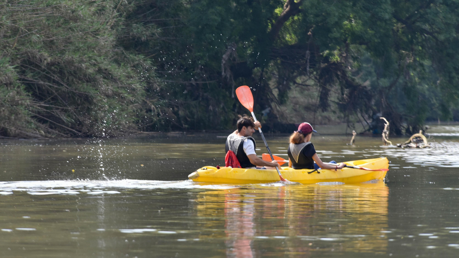 Ruta en kayak por El Palmones