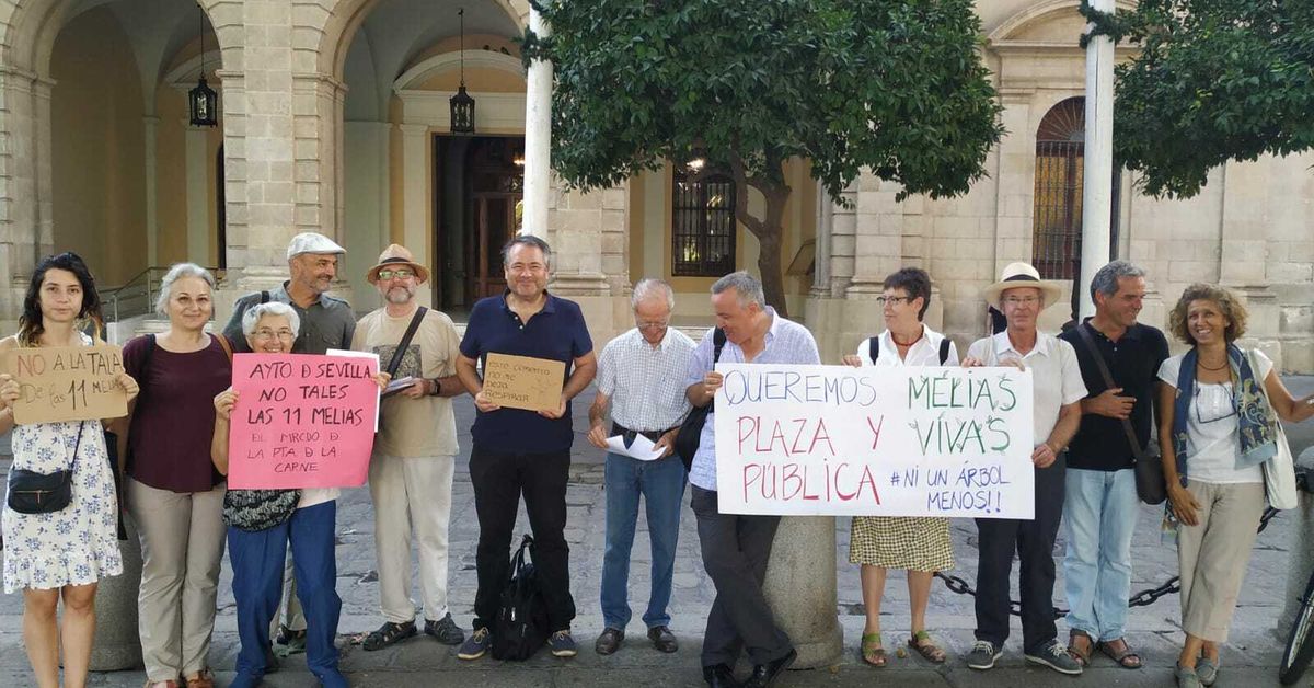 Nueva protesta contra la tala de árboles en la Puerta de la Carne