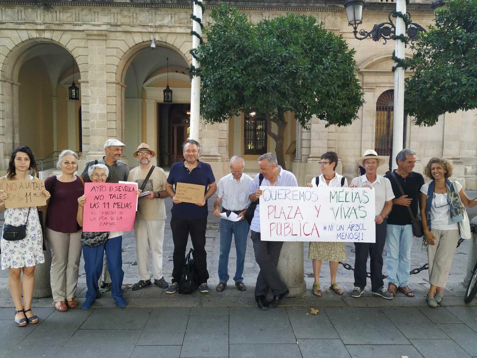 Una instantánea de la protesta frente al Ayuntamiento convocada por Salvatusarbolessevilla.