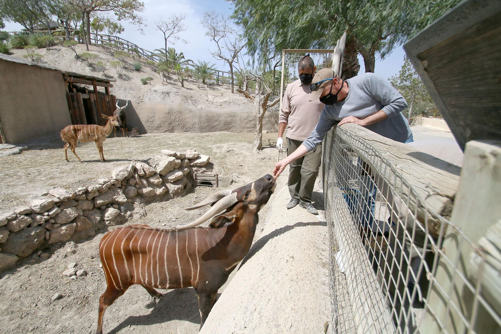 Fotogalería del Oasys Mini Hollywood sin actividad durante el coronavirus
