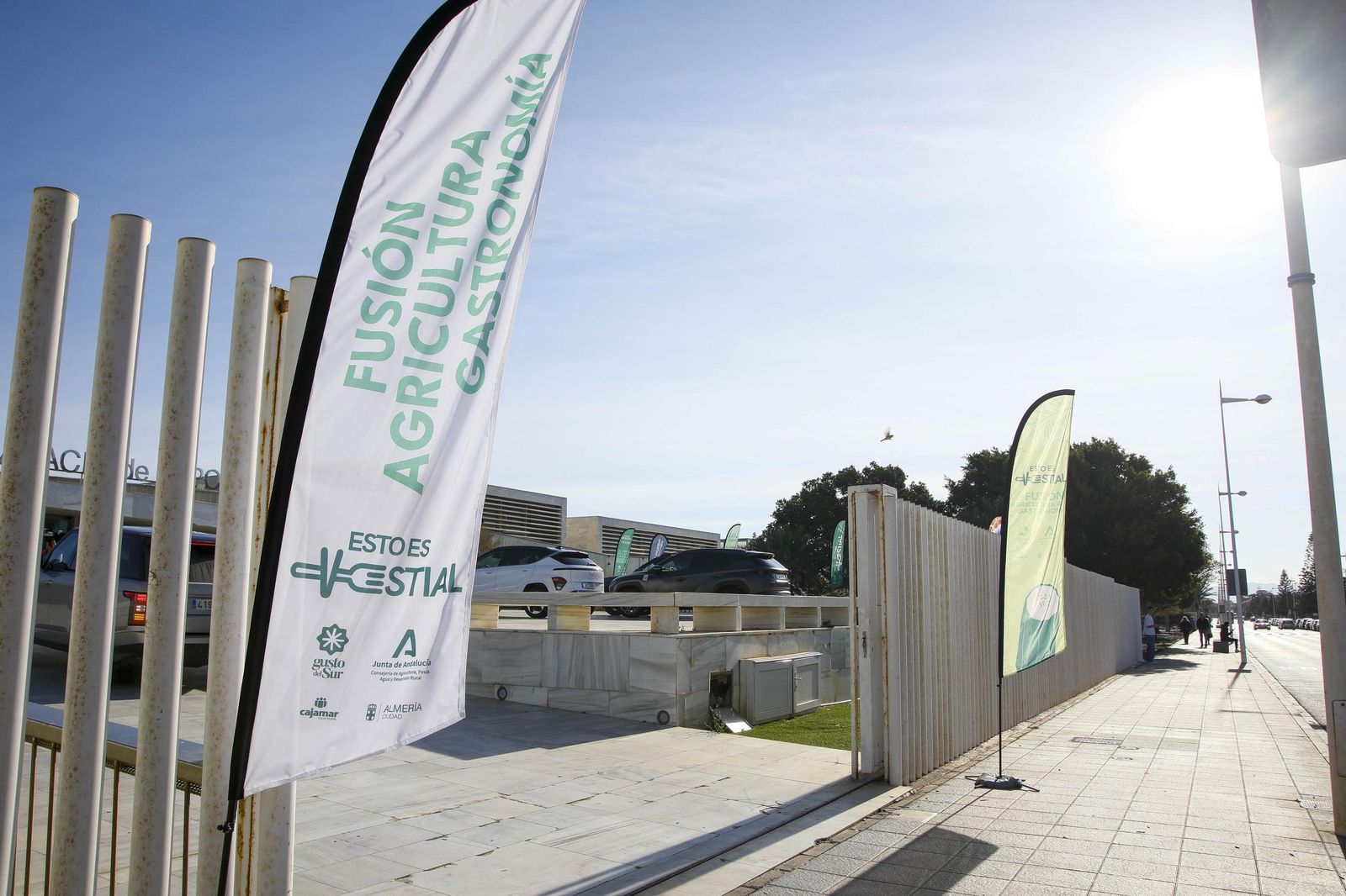 Imágenes de la inauguración de Vestial 20205 en el Palacio del Toyo