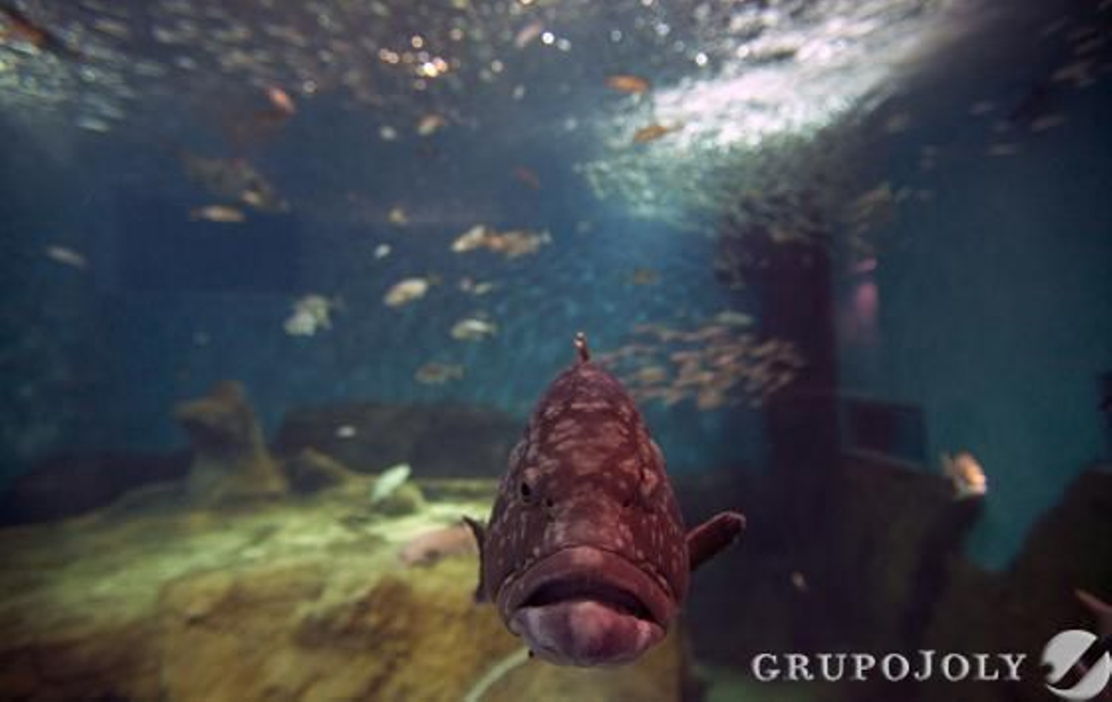 Foto: Antonio Pizarro