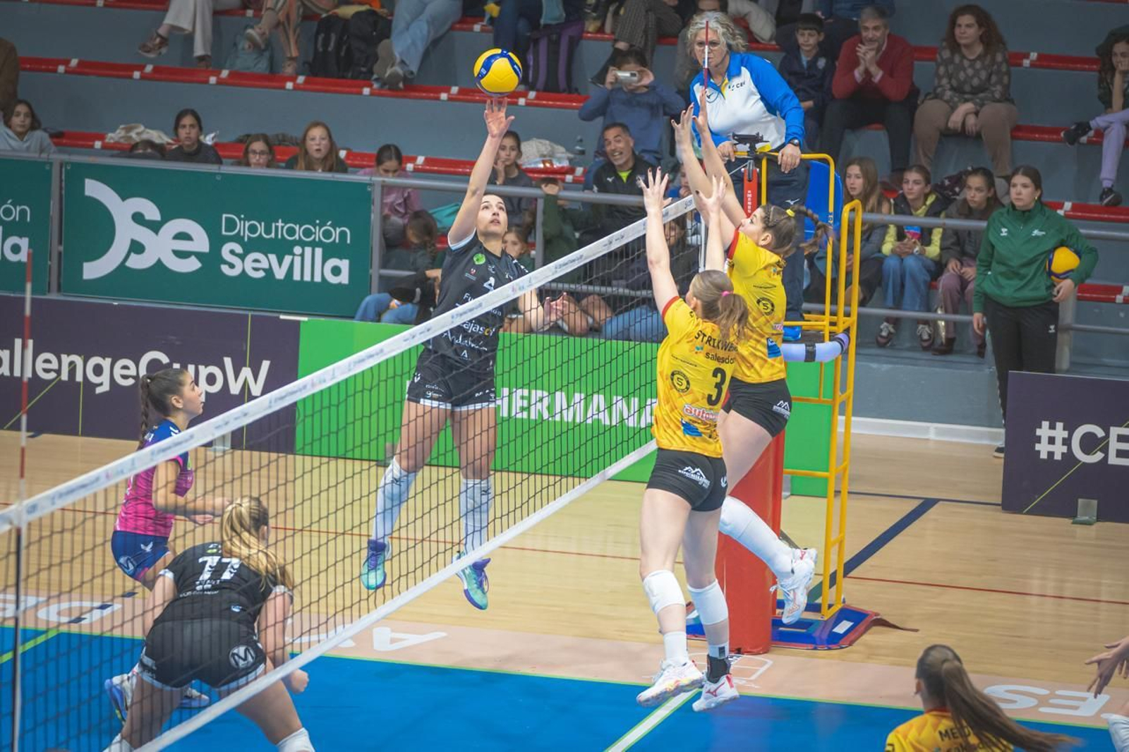 Las fotos del Fundación Cajasol Andalucía-Dynamo Apeldoorn