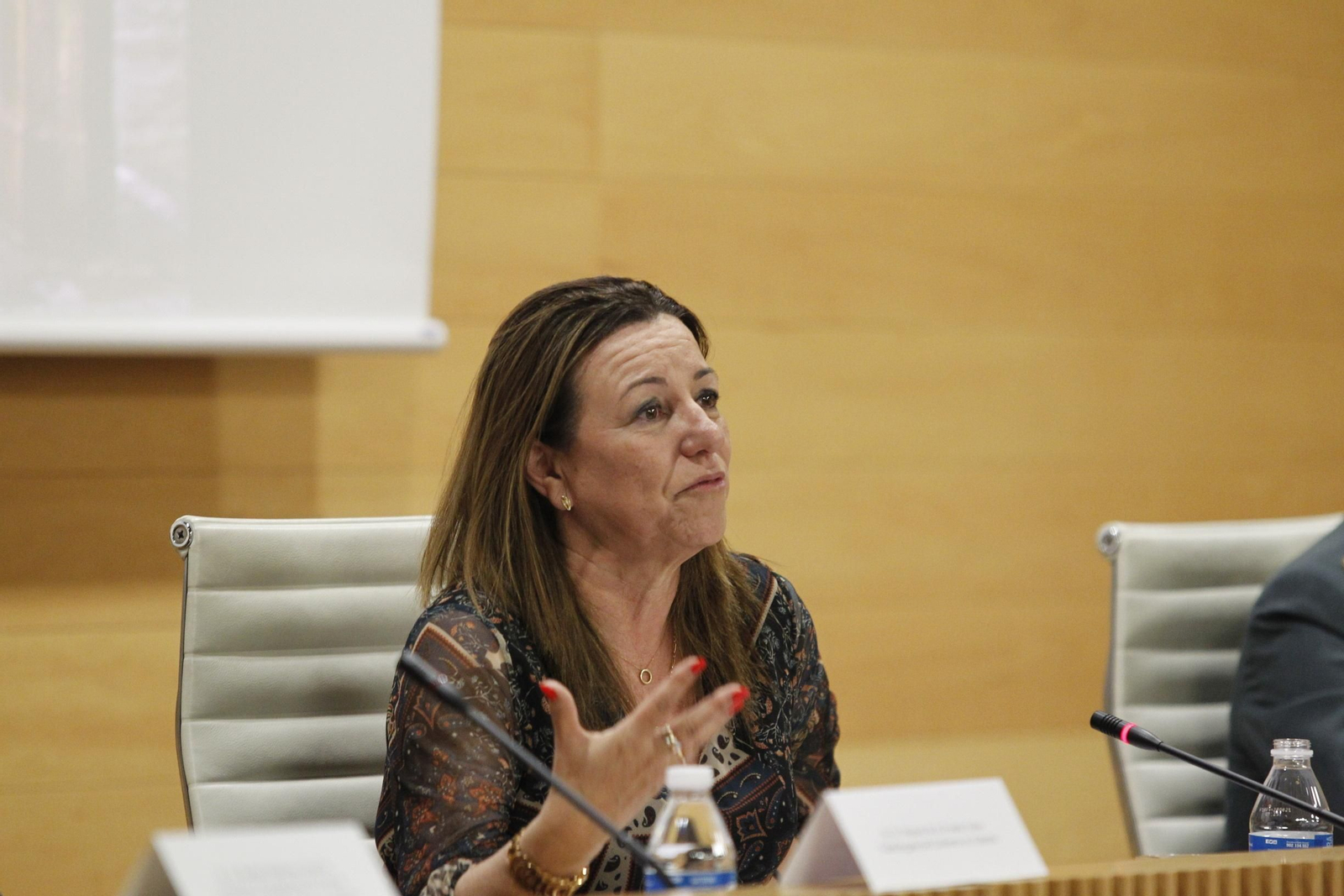 Fotogalería entrega diplomas Plan Director