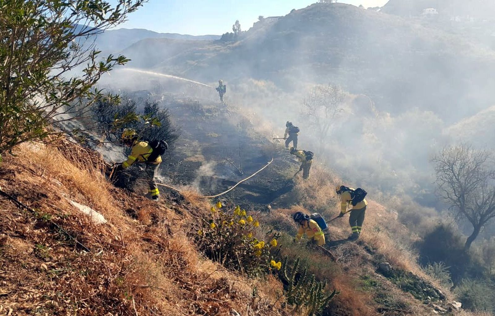 Incendio forestal en el Cortijo del Hambre de Bédar.