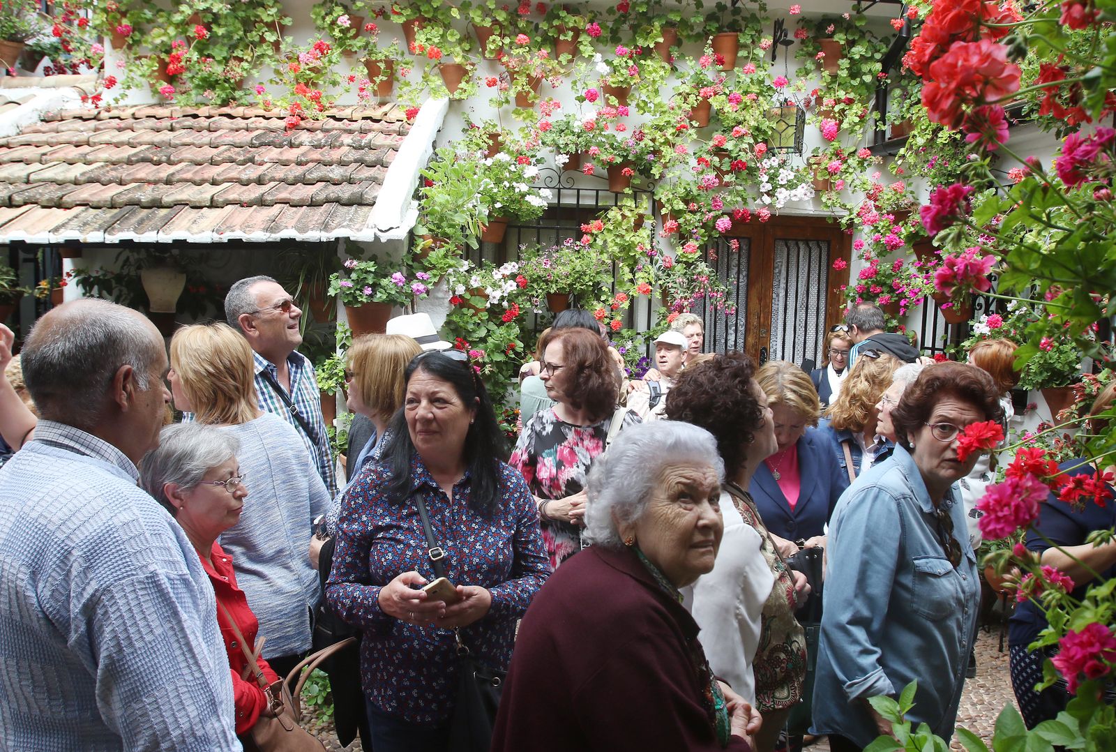 Ambiente en los patios ganadores de 2017