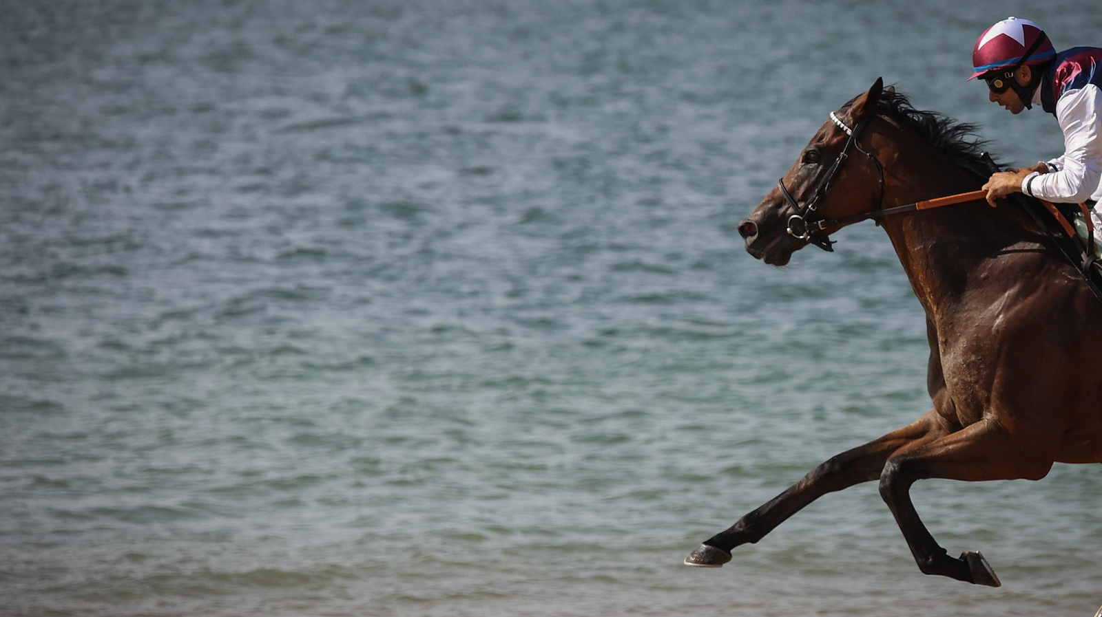Imágenes del segundo ciclo de Carreras de Caballos de Sanlúcar
