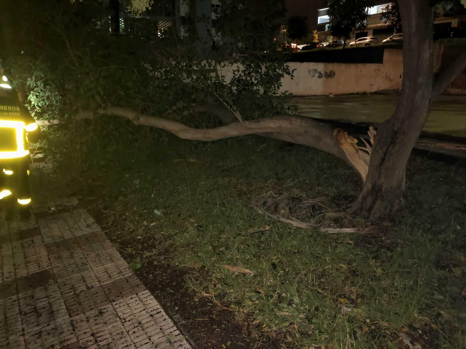 Borrasca Bernard en Algeciras