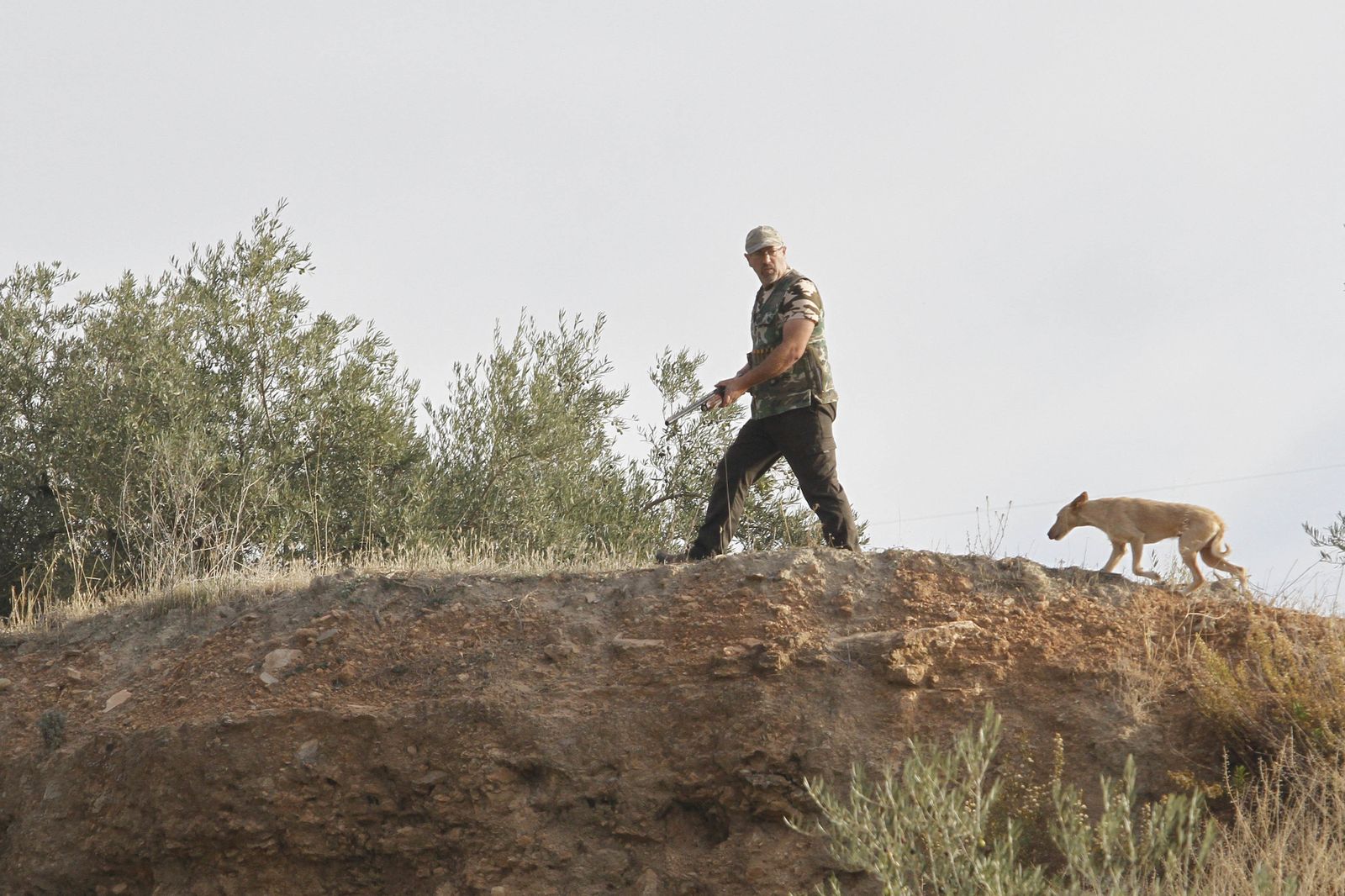 Un cazador, en plena actividad, seguido por un podenco.